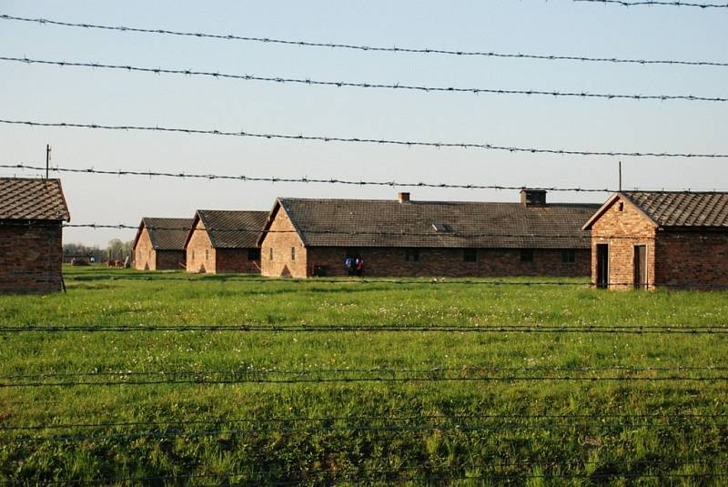 Okolo sedmi tisíc mladých Židů z 55 zemí světa zavítalo v úterý 21. dubna do bývalého největšího koncentračního tábora Osvě〜tim v Polsku, aby uctilo památku obětí holocaustu. Pochod mladých Židů se konal již po osmnácté. 