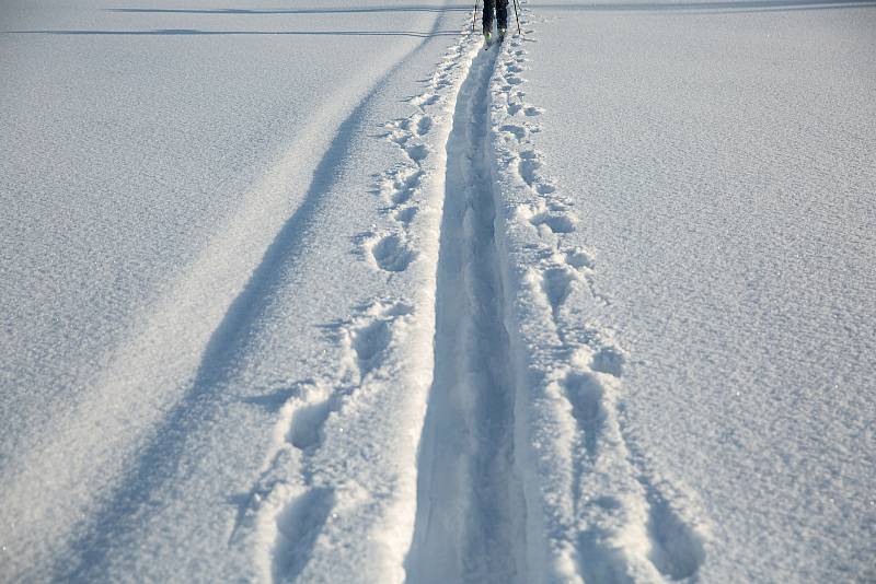 Skialpinisté v Krkonoších a Orlických horách.