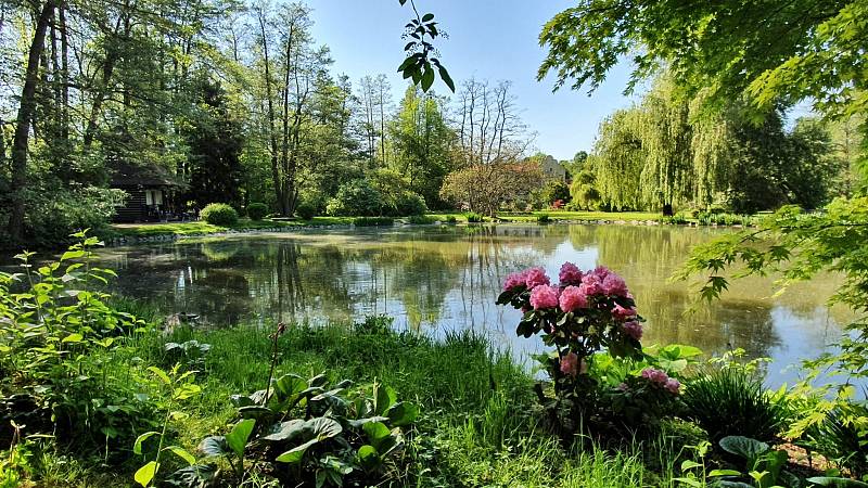 Podvečerní zámecký park v Častolovicích.