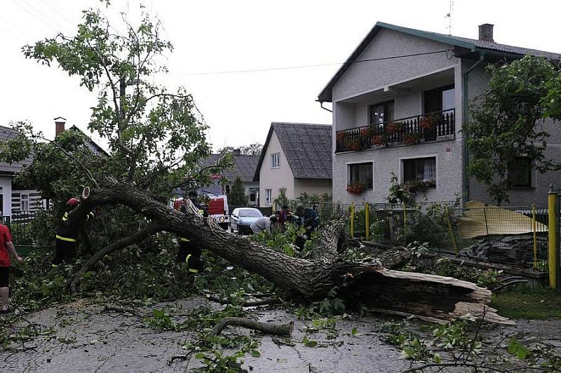 Spadlý strom v Černíkovicích během letní bouřky ve čtvrtek 23. čerevence. 