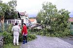 Spadlý strom v Černíkovicích během letní bouřky ve čtvrtek 23. čerevence. 