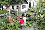 Spadlý strom v Černíkovicích během letní bouřky ve čtvrtek 23. čerevence. 