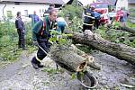 Spadlý strom v Černíkovicích během letní bouřky ve čtvrtek 23. čerevence. 