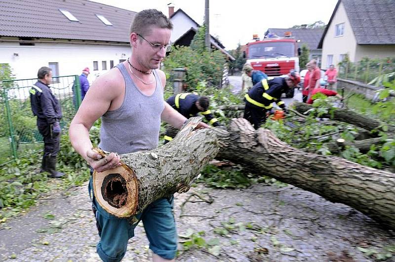 Spadlý strom v Černíkovicích během letní bouřky ve čtvrtek 23. čerevence. 