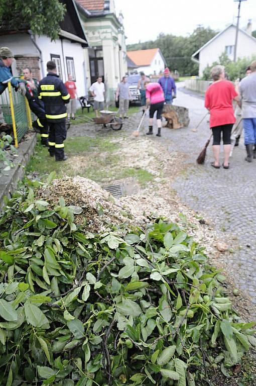 Spadlý strom v Černíkovicích během letní bouřky ve čtvrtek 23. čerevence. 