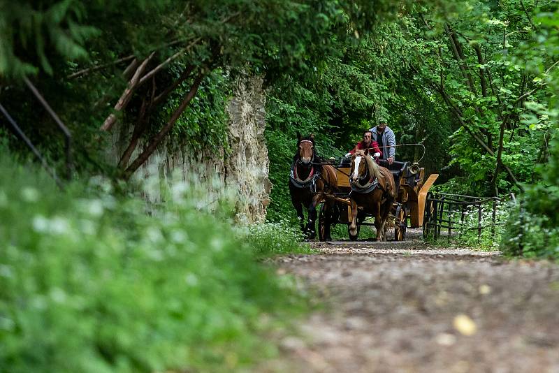 V anglický park s romantickými stavbami a vodopády nechal před dvěma stoletími přeměnit údolí Zlatého potoka pod opočenským zámkem Rudolf Josef Colloredo-Mansfeld (1772 - 1843). Oslavy kulatého výročí parku se staly součástí Víkendu otevřených zahrad.