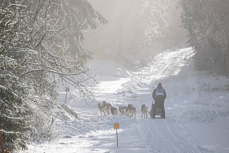 Šediváčkův long odstartoval. Mushery čeká 200 kilometrů Orlickými horami