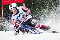 Z mistrovství světa v jízdě na skibobech 2016 v Deštném v Orlických horách. 