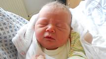 MIRIAM PRECLÍKOVÁ se narodila 9. února ve 3.17 hodin. Měřila 46 cm a vážila 2800 g. Největší radost udělala svým rodičům Evě a Milanu Preclíkovým z Rychnova nad Kněžnou. Doma se těší sestřička Timea. Tatínek to u porodu zvládl výborně.