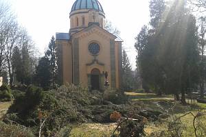 OKOLÍ PANELOVÝCH DOMŮ v lokalitě Na Trávníku bylo již od čtvrtka plné pokácených stromů (snímky dole). Pravý horní snímek je zachycen ještě před prací řemeslníků v říjnu 2013. Levý horní snímek je pořízen těsně po vykácení zeleně. 