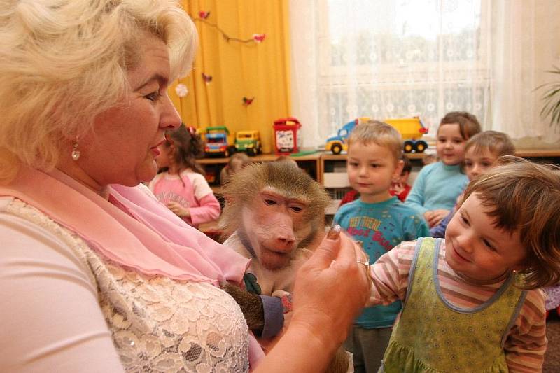 Cirkus zavítal do mateřské školky v Solnici.