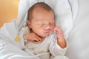 ZARA BRIESELOVÁ se narodila 24. prosince v 11.29 hodin. Měřila 49 cm a vážila 3130 g. Velkou radost udělala svým rodičům Dianě a Patriku Brieselovým z Doudleb nad Orlicí. Tatínek byl u porodu mamince velkou oporou.
