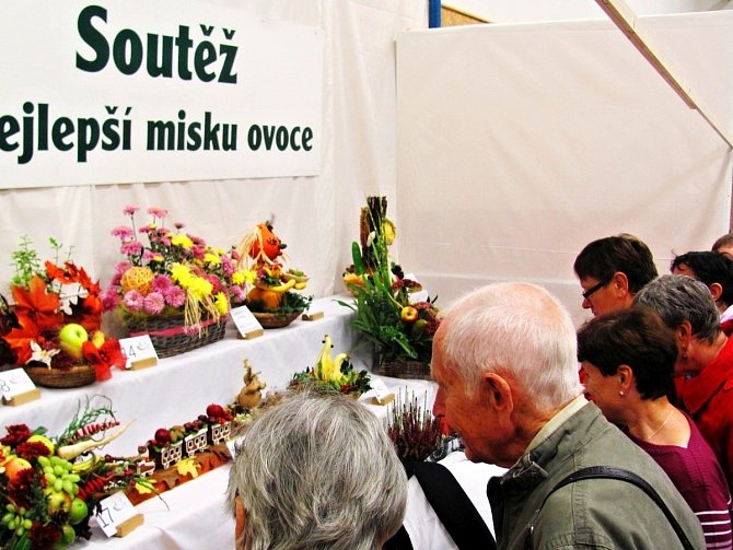 Zahrada východních Čech již tradičně v Častolovicích.