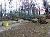 Častolovičtí hasiči prováděli odklízení spadlých stromů v areálu sokolské zahrady.