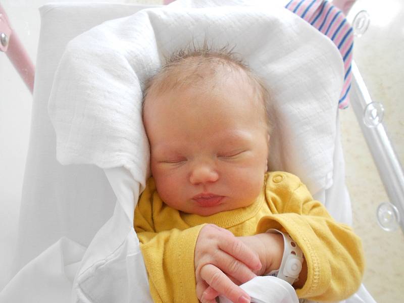 HANA JEŽKOVÁ se narodila 22. listopadu ve 13.56 hodin. Měřila 51 cm a vážila 3310 g. Velikou radost udělala svým rodičům Markétě Haškové a Michalu Ježkovi z Bolehošťské Lhoty. Tatínek to u porodu zvládl skvěle.