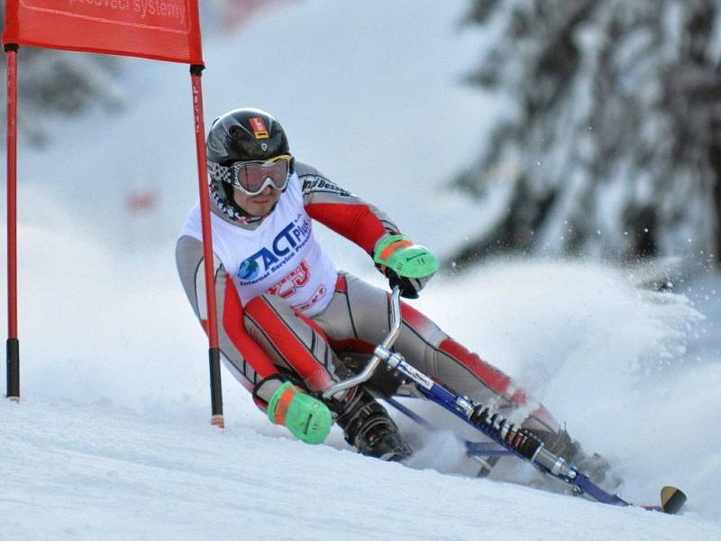 Deštné v Orlických horách hostilo mistrovství České republiky v jízdě na skibobech.