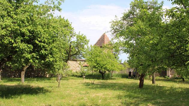 V neděli 21. května se prostory nově upravené klášterní zahrady v Opočně otevřely veřejnosti.