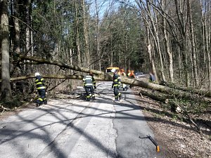 Odstraňování popadaných stromů přes silnici ve skuhrovské části Svinná.