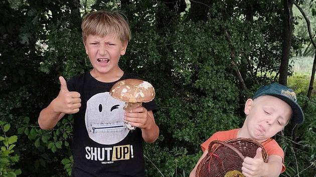 Anna Krejčí spolu s dětmi houbařila v okolí Dobrušky. Jejich houbařský úlovek z 2. srpna měřil skoro 25 centimetrů.