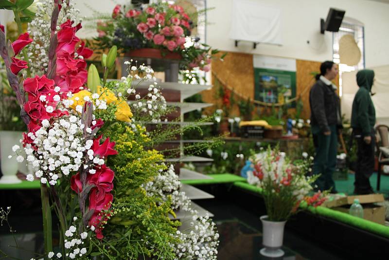 22. ročník podzimní výstavy Zahrada východních Čech přichystal plno lahůdek pro oko i chuťové pohárky.