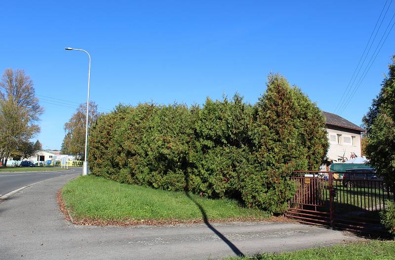 Lidl vyroste v ulici V. opatrného v Týništi nad Orlicí na místě bývalého rodinného zahradnictví a přilehlých pozemcích.