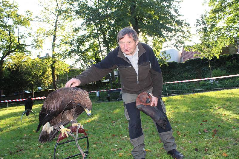 Viktor Čahoj vychoval a vycvičil už hodně dravců, Terka je jeho čtvrtým orlem skalním. Učil ale i krkavce. „Krkavec je hodně inteligentní, orel taky, ale každý svým způsobem, mají různé mentality,“ tvrdí.