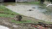 DÍLO ZKÁZY. Takovou spoušť napáchala na Rychnovsku pondělní blesková povodeň. 