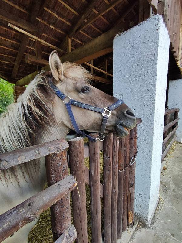 Zámecký areál v Doudlebách nad Orlicí.