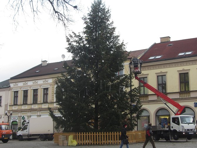 Vánočním stromem pro Rychnov nad Kněžnou je letos douglaska tisolistá.