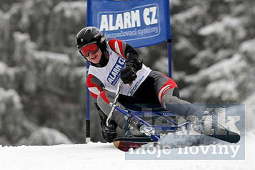 Světový pohár a Evropský pohár juniorů v jízdě na skibobech 2010 v Deštném v Orlických horách.