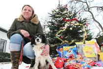 I pejsci a kočky bez domova si můžou užít Vánoce. Třeba v útulku v Lukavici je možné si s nimi pohrát či jít na procházku.  