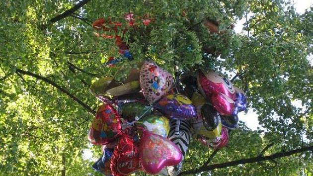 Rychnovský deník | Nafouknuté balonky odletěly | fotogalerie