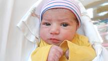 LUCIE GABČOVÁ se narodila 20. ledna ve 12.56 hodin. Měřila 49 cm a vážila 3200 g. Velkou radost udělala svým rodičům Lucii Danišové a Jiřímu Gabčovi z Mírové. Doma se těší sourozenci Patrik a Nikola. Tatínek to u porodu zvládl na jedničku.