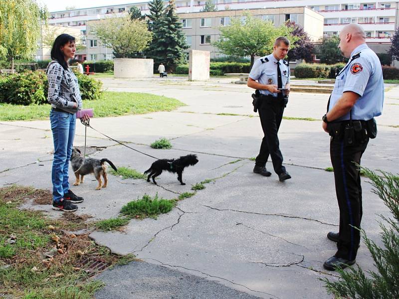 MAJITELÉ PSŮ V DOBRUŠCE byli varováni kvůli nálezu kousků salámu, v němž byly nastrkané hřebíky. Na nebezpečí je upozornil rozhlas.