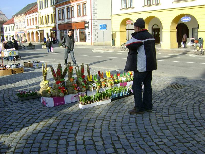 Blížící se první jarní den předznamenala barevná květinová krása, které vládla zelená. 