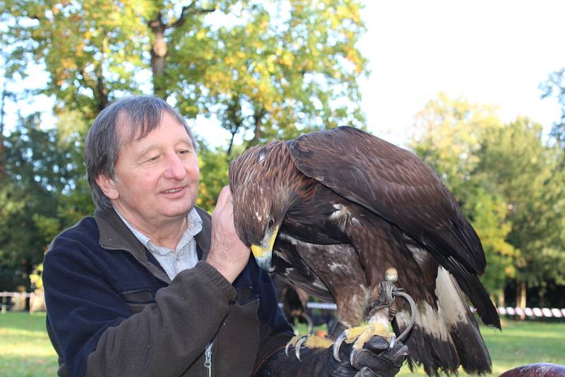 Sokolníci s dravci slavnostně zahájili setkání v Opočně.