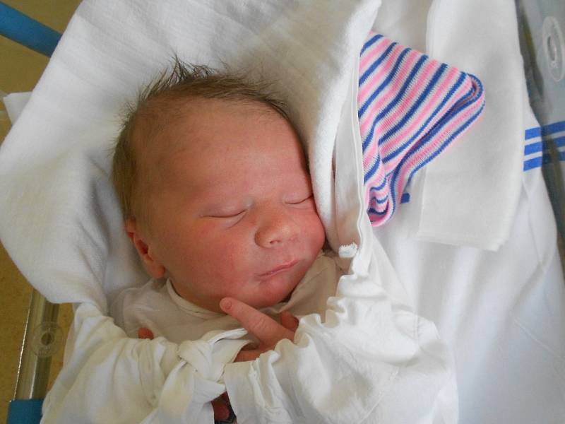 Michal se narodil 4. března 2019 v 10.49 hodin, měřil 51 cm a vážil 3 270 g. Radují se z něho rodiče Anna a Marcel z a sestra Karolina z Nového Města nad Metují. Tatínek byl u porodu a vedl si statečně.