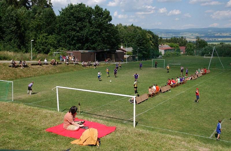 Vršovan Cup 2008