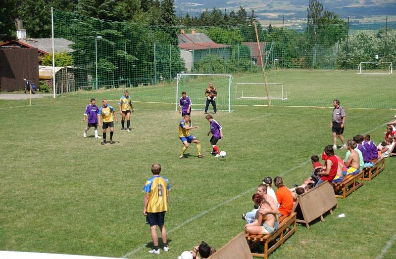 Vršovan Cup 2008