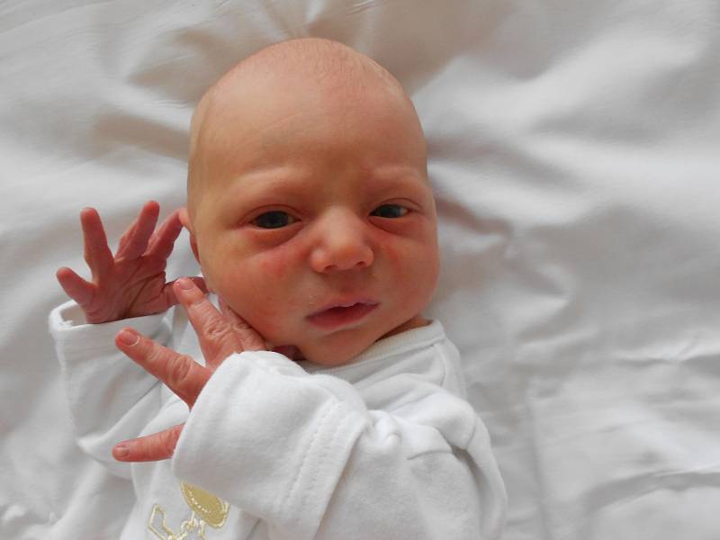 Bernard Kočí se narodil 3. listopadu 2019 ve 22.28 hodin s 49 cm délky a váhou 3 260 g. Rodiče Lenka Lelita a Jakub Drak z Vraclavi z něj mají obrovskou radost. Tatínek byl u porodu přítomen.