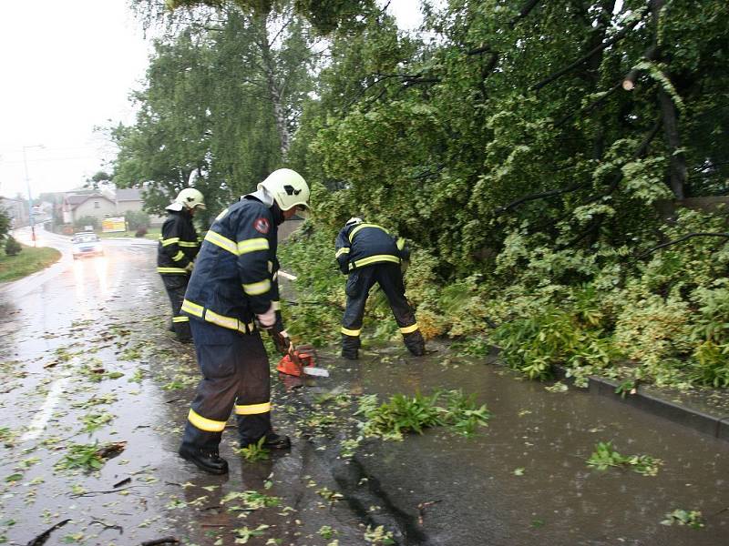 Spadlý strom u hřbitova v Opočně.