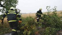 Cestou do Pohoří k padlému stromu na rodinný dům, museli hasiči odstranit dva další stromy z komunikace, aby vůbec projeli.