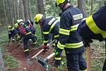 Profíci i dobrovolní hasiči se sjeli na akademii lesních požárů do Orlických hor