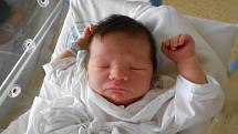  Patrik Hübl se narodil 18. listopadu 2019 ve 14.54 rodičům Haně a Richardovi z Pohoří. Měřil 50 cm a vážil 3 620 g. Doma se na Patrika těší sestřička Laura a dvojčátka Sára a Kryštof. Tatínek u porodu nechyběl.