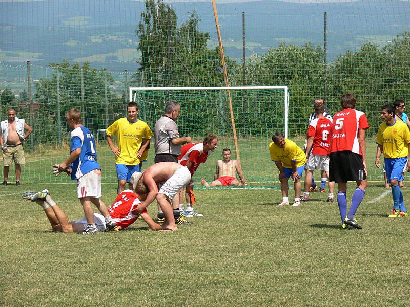 Vršovan Cup 2012