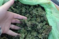 Plné pytle usušené marihuany zabavili policisté při zásahové akci „Oheň“ v pěstírnách na Rychnovsku. Deset kilo této drogy by vyneslo překupníkům asi milion korun.