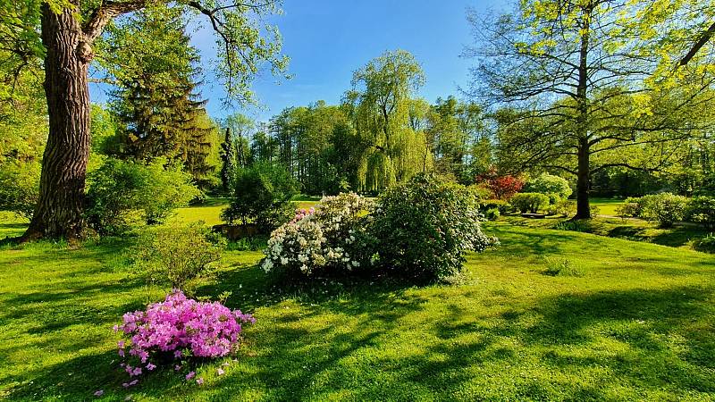 Podvečerní zámecký park v Častolovicích.