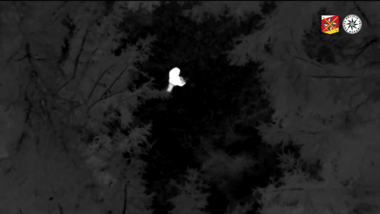 VIDEO: Dvouleté batole se ztratilo v Orlických horách, vypátral ho vrtulník