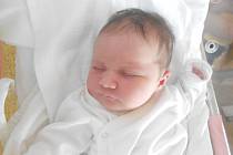 DOMINIKA FALTUSOVÁ se narodila 4. července v 5.29 hodin. Měřila 50 cm a vážila 3800 g. Největší radost udělala svým rodičům Barboře a Stanislavu Faltusovým z Žamberku. Doma se těší sestřička Šárka. Tatínek to zvládl skvěle.