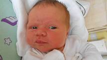   Patricie Seniurová přišla na svět 14. listopadu 2019 v 15.40 hodin, měřila 52 cm a vážila 3 960 g. Z miminka se radují rodiče Kateřina Jiroutová a Jakub Seniura z Rychnova nad Kněžnou, který byl u porodu obrovskou oporou.